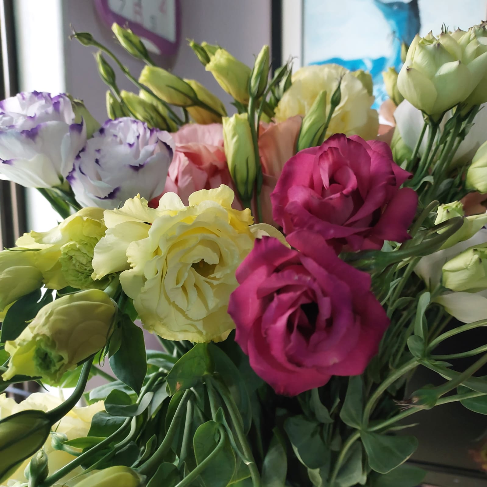 Lisianthus Mix