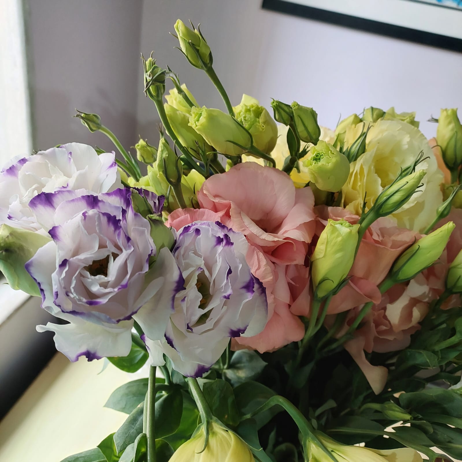 Lisianthus Mix