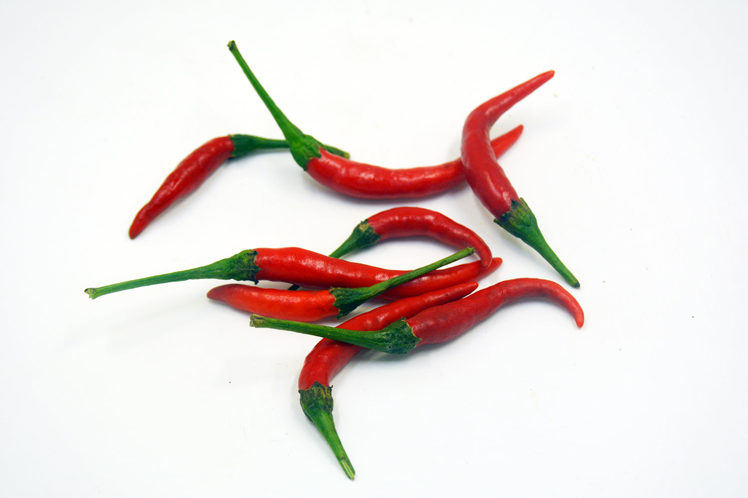 Bangkok Chilli
