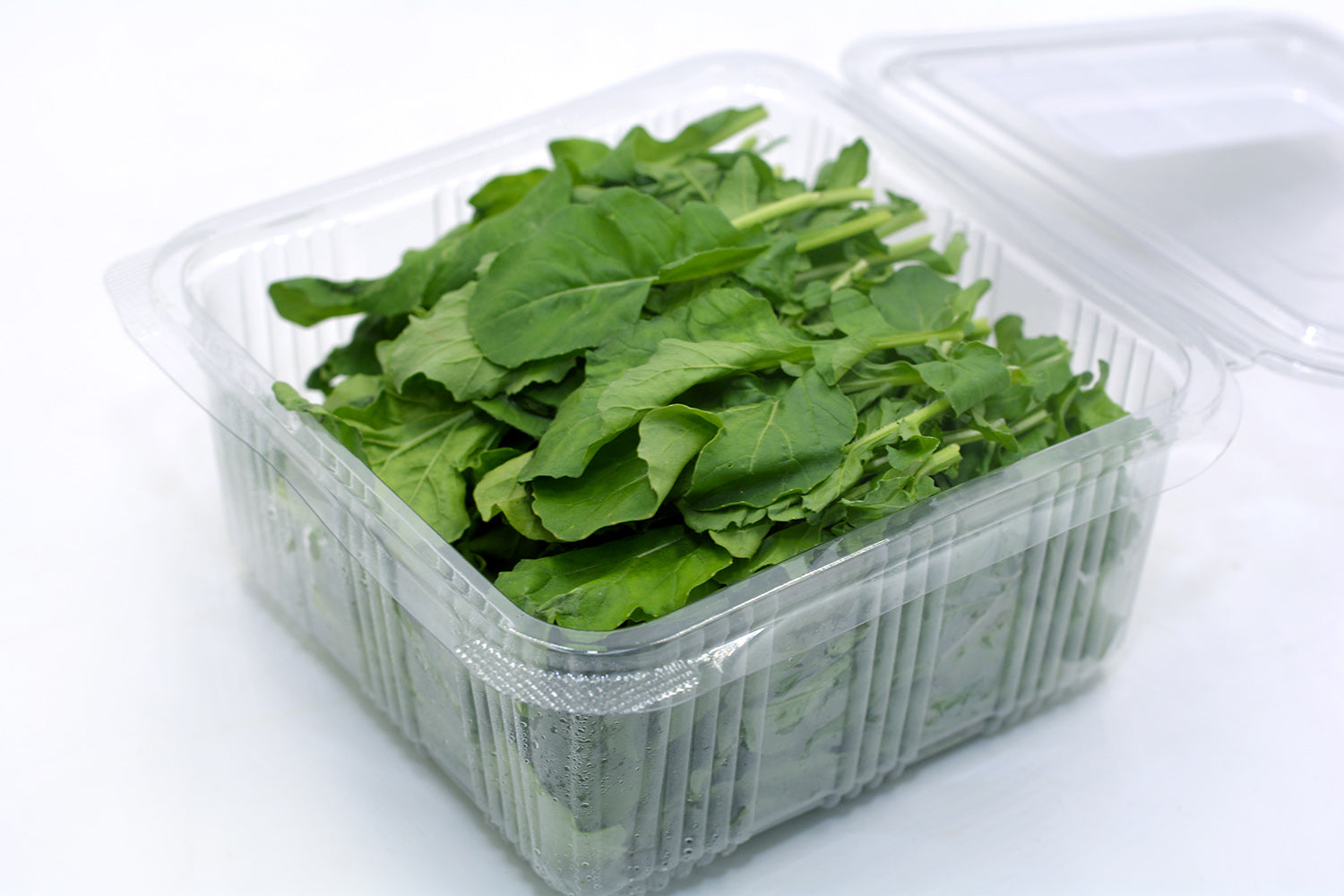 Baby roquette