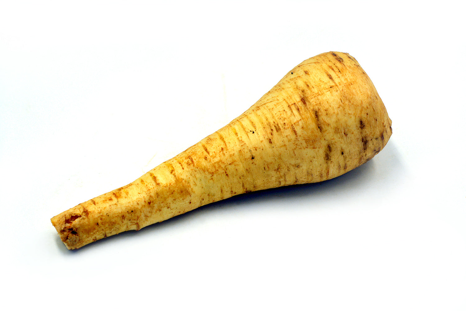 Parsnip