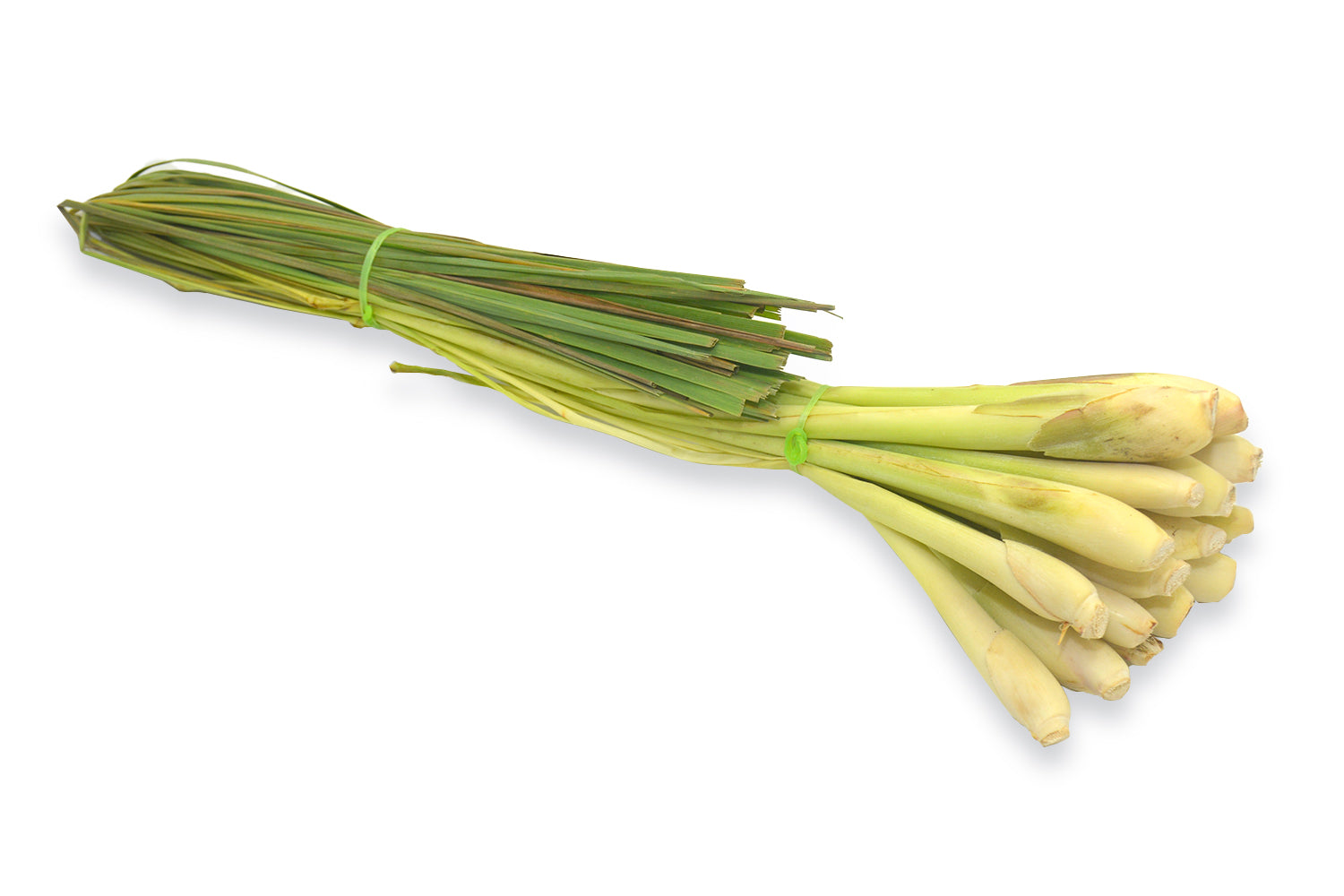 Lemon Grass