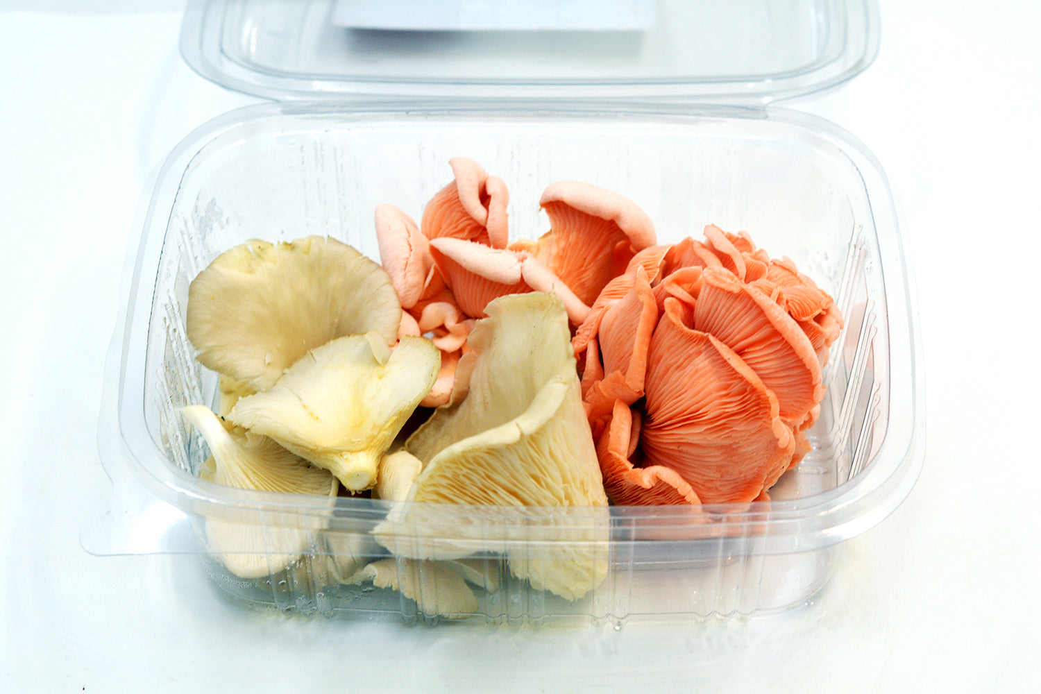 Mushrooms ,Oysters Mix