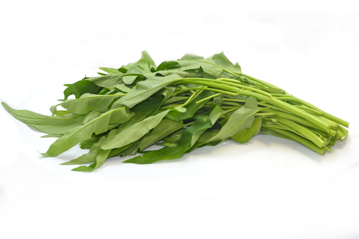 Kangkong/Morning Glory
