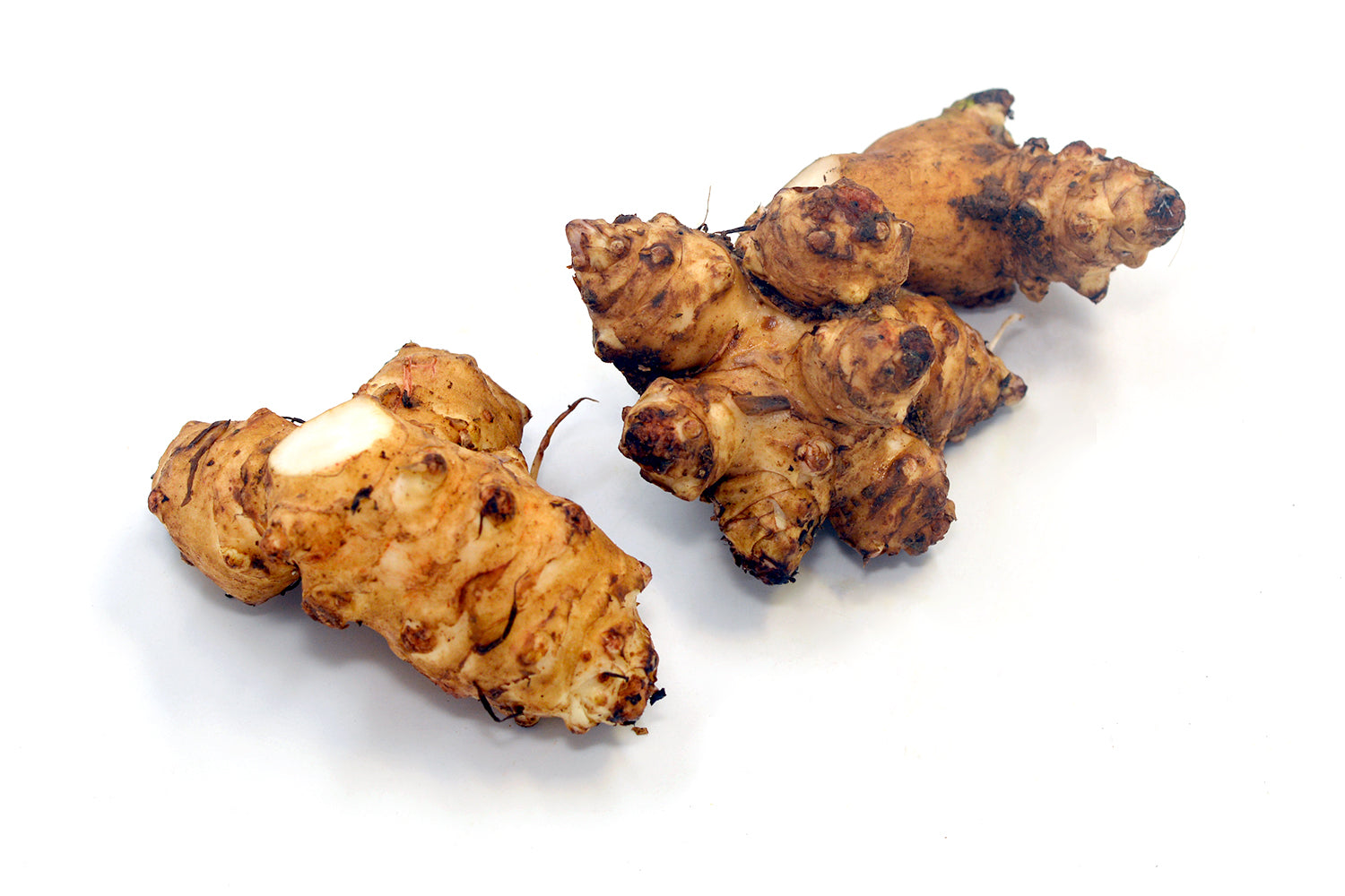 Jerusalem Artichoke Premium
