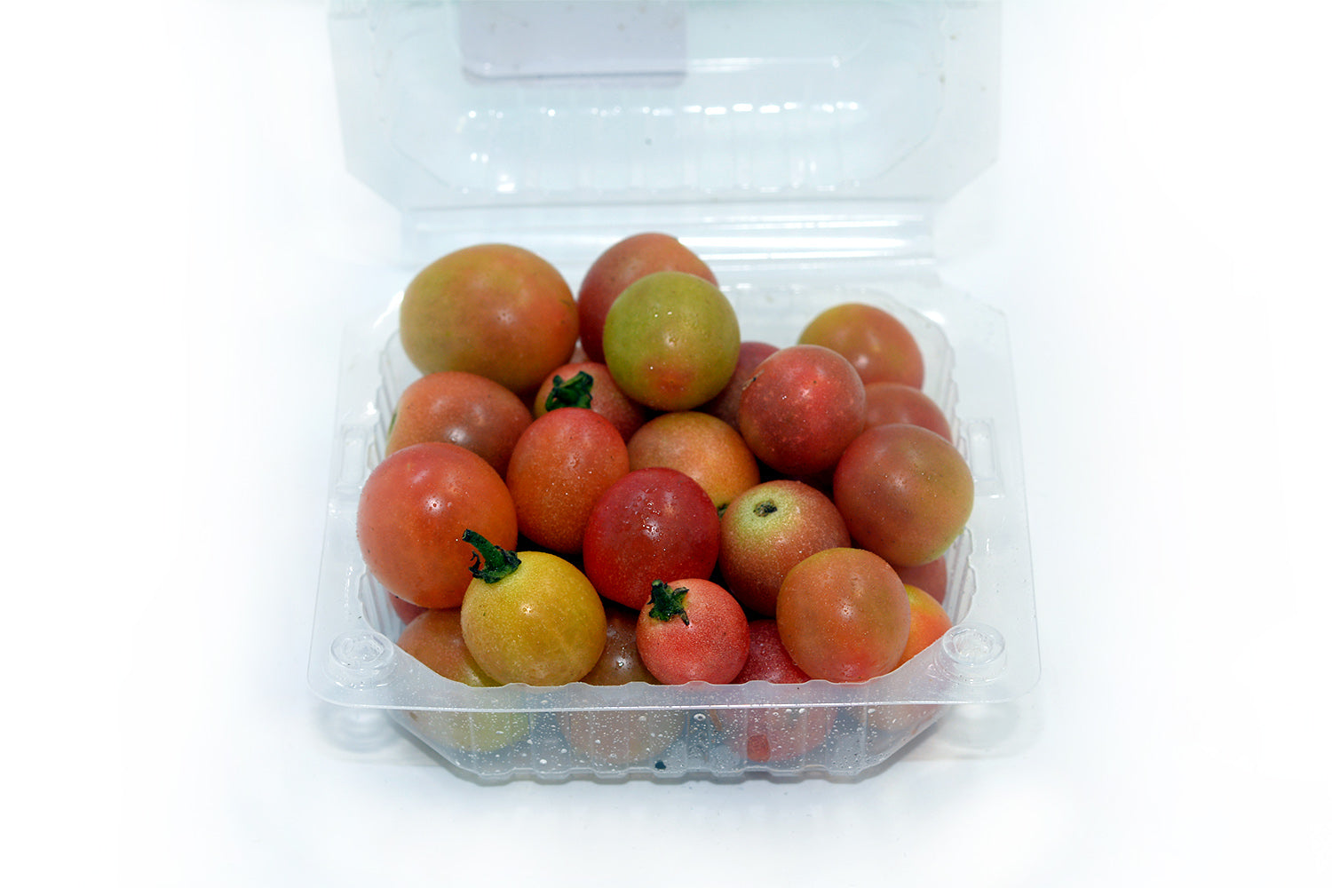 Tomato Sun Peach