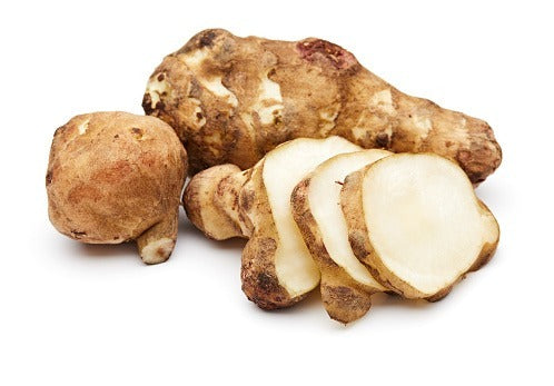 Jerusalem Artichoke Premium