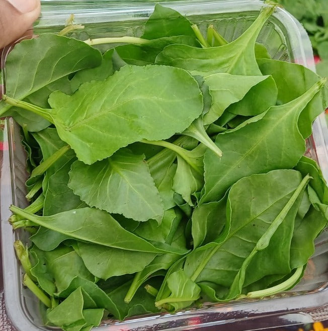 Spinach , Baby