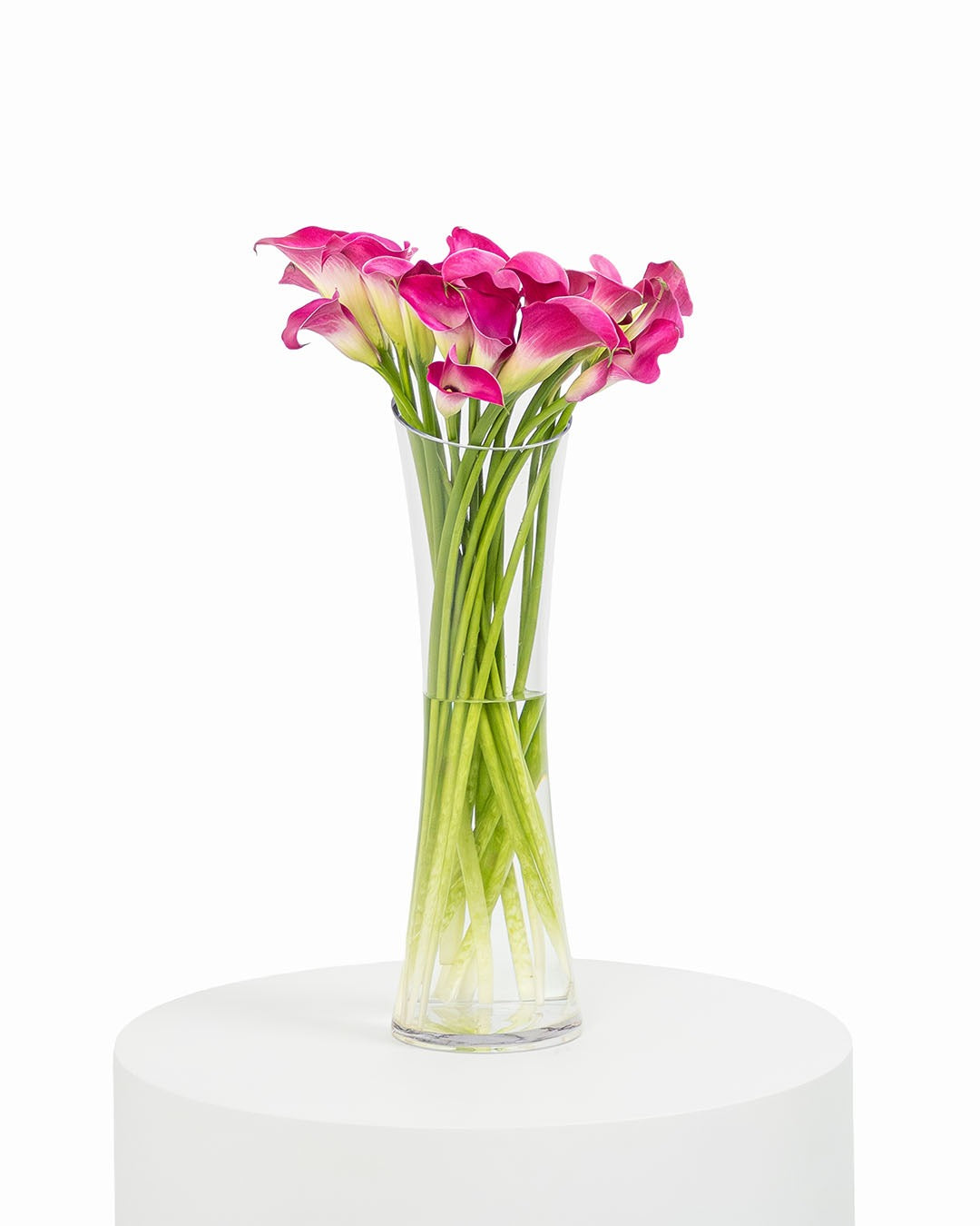 Calla lily Pink