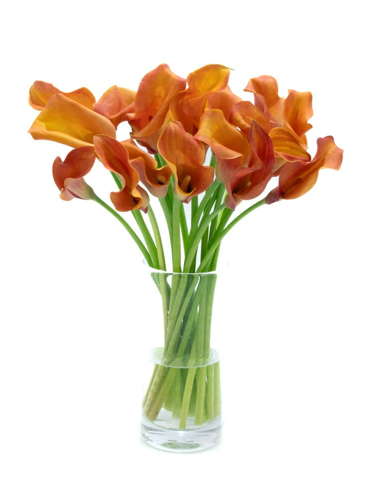 Calla lily Orange