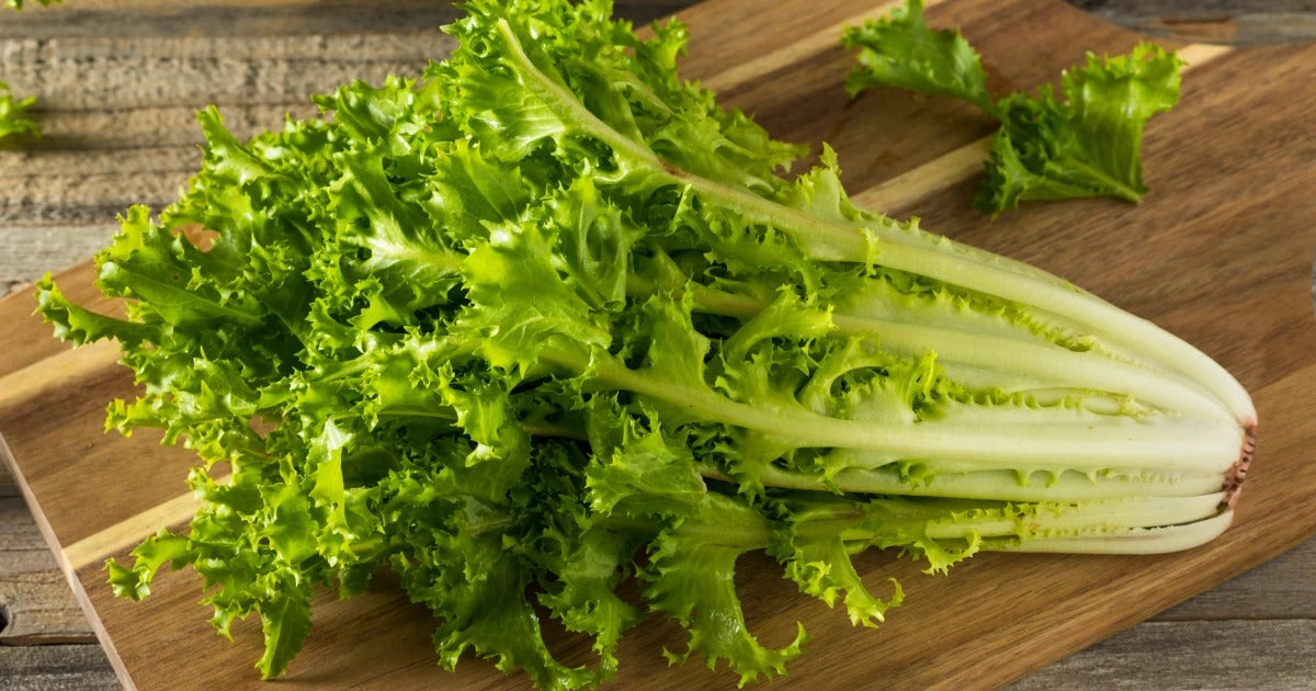 Ready to Use - Lettuce Endive
