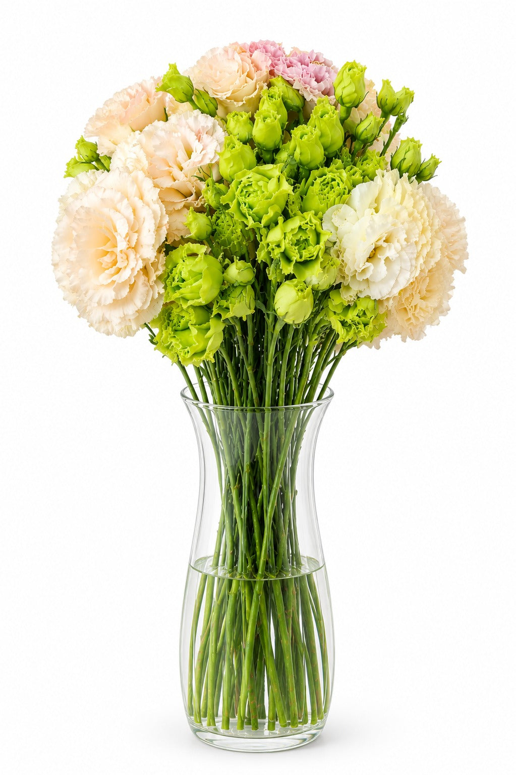 Lisianthus Orange