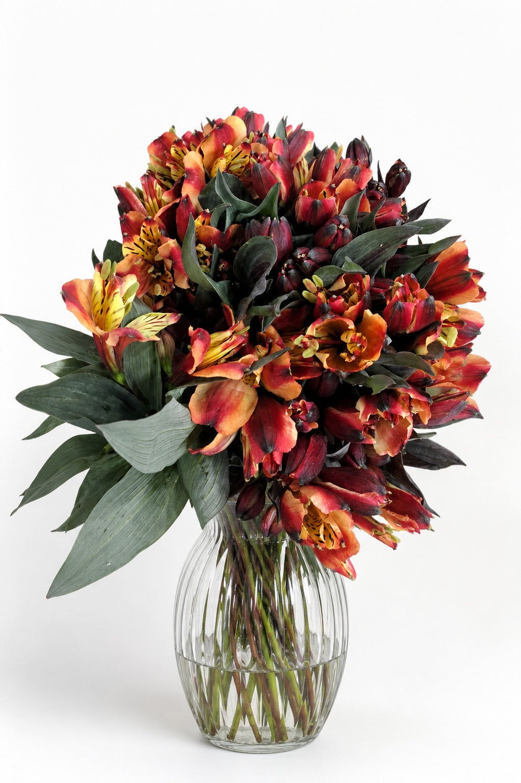 Premium Alstroemeria Mix