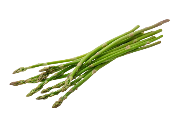 Asparagus
