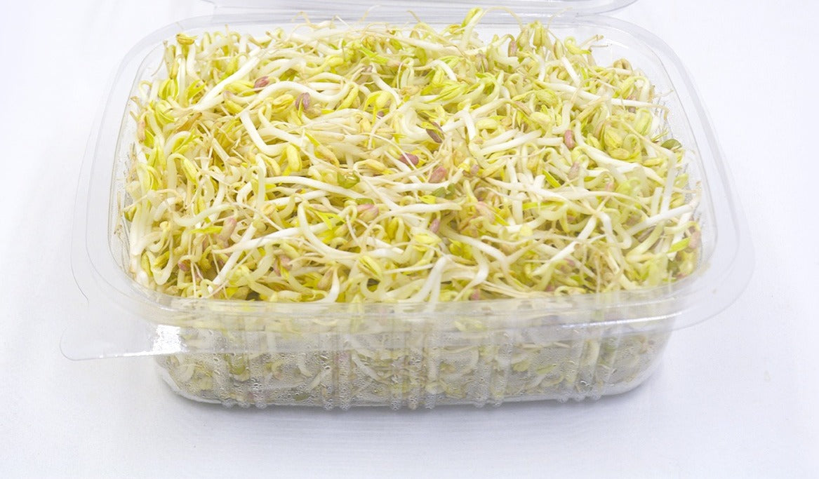 Mung Sprouts
