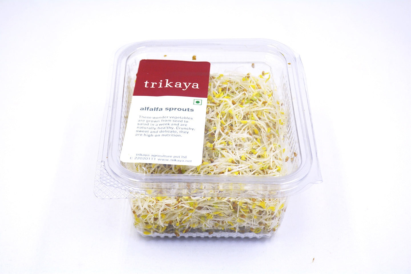 Alfalfa Sprouts