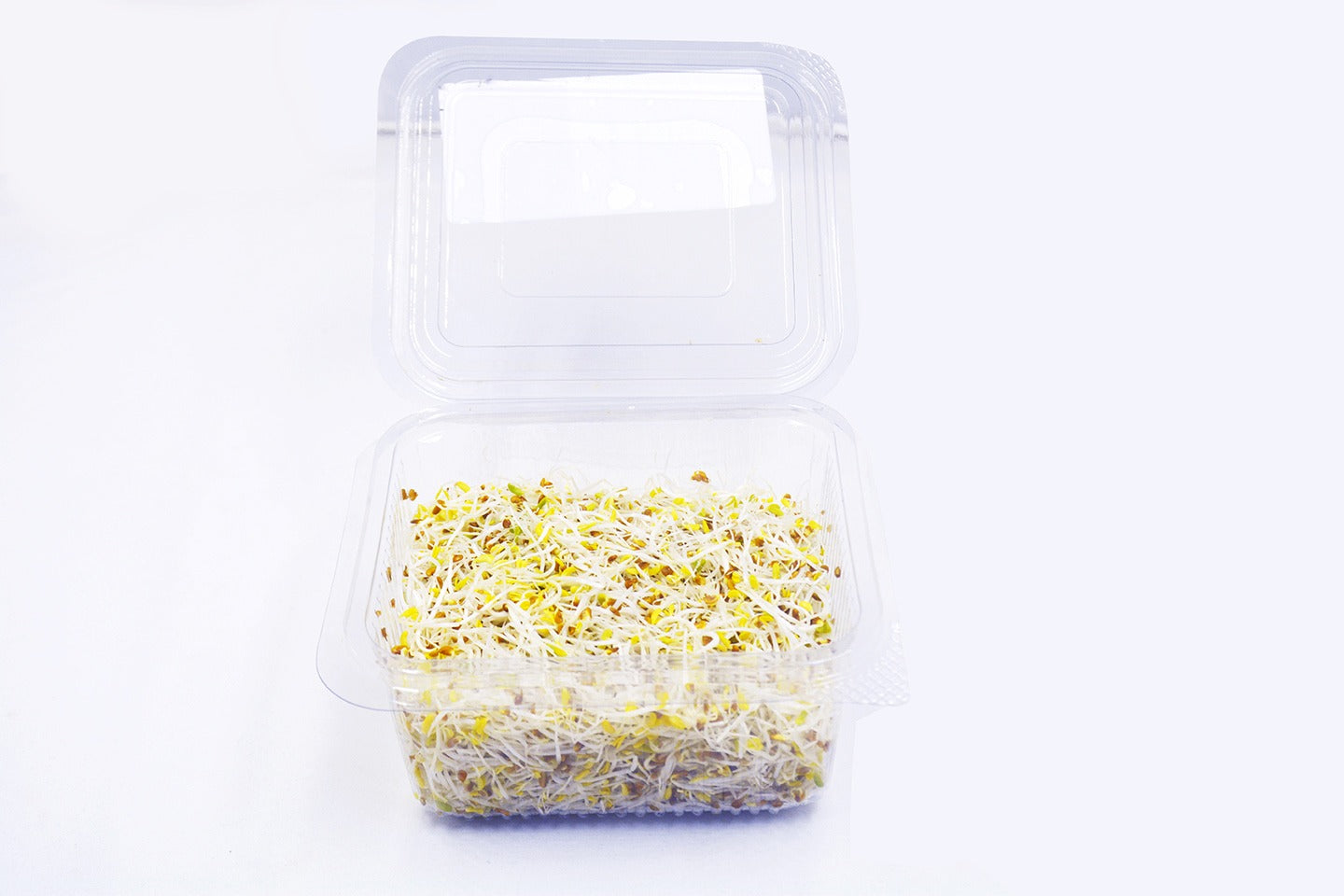 Alfalfa Sprouts