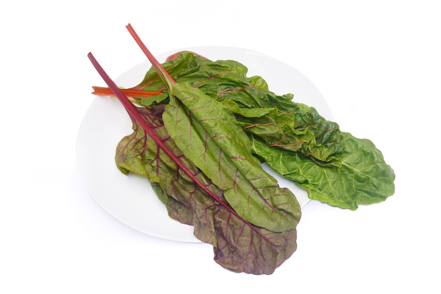 Swiss Chard, Multi-Coloured