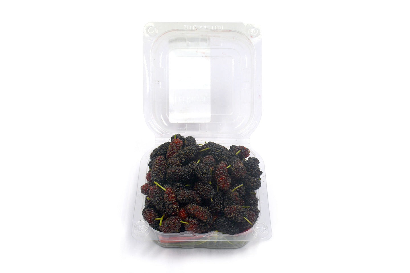 Mulberry Fresh