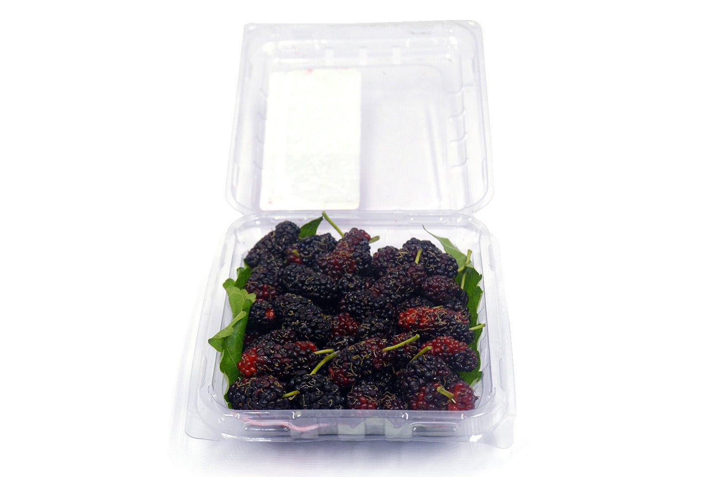 Mulberry Fresh