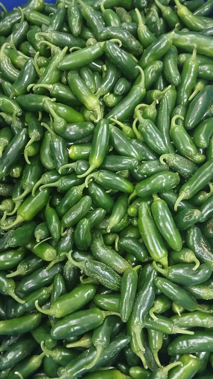 Jalapeno Green Chilly