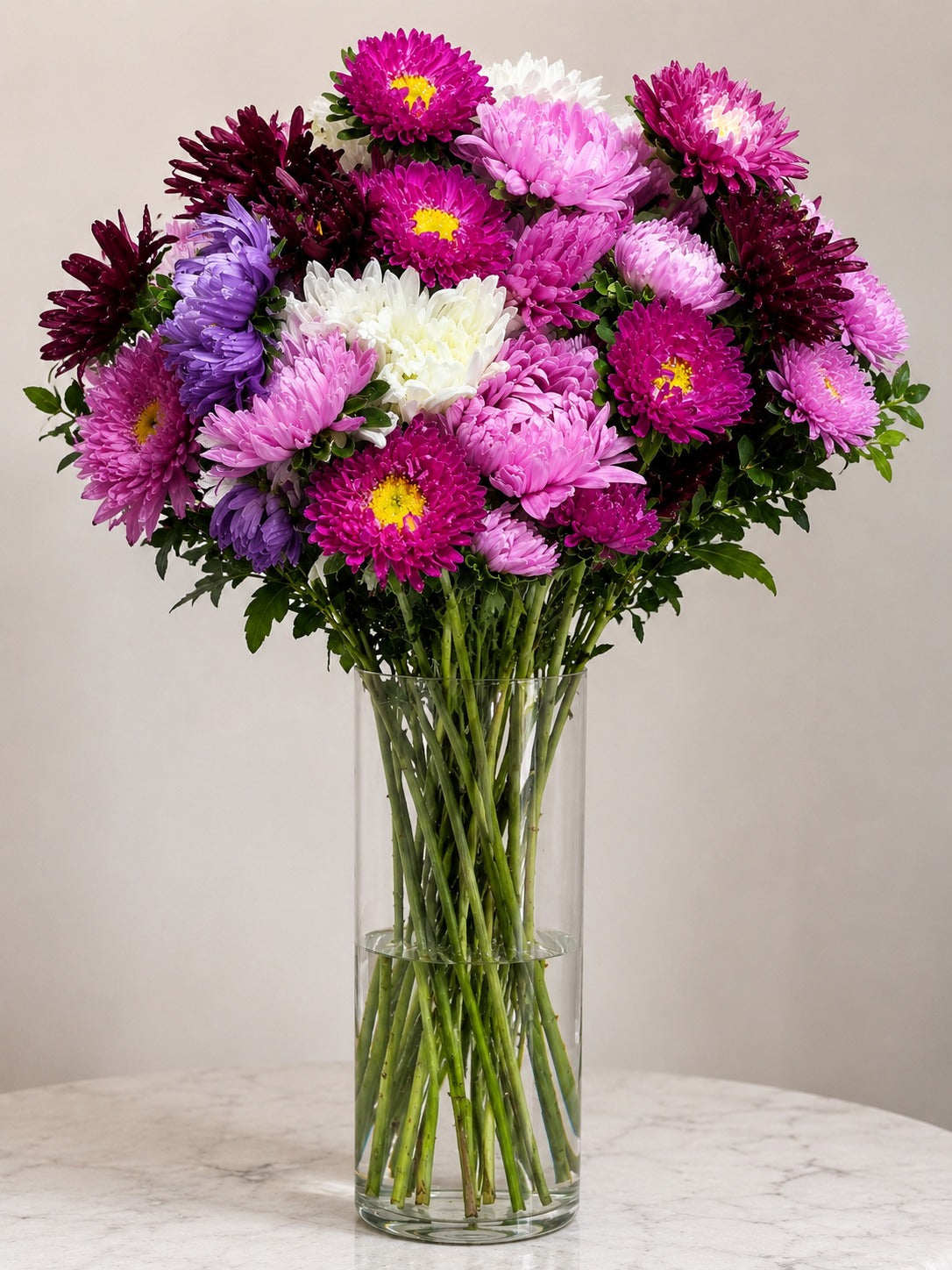 Aster