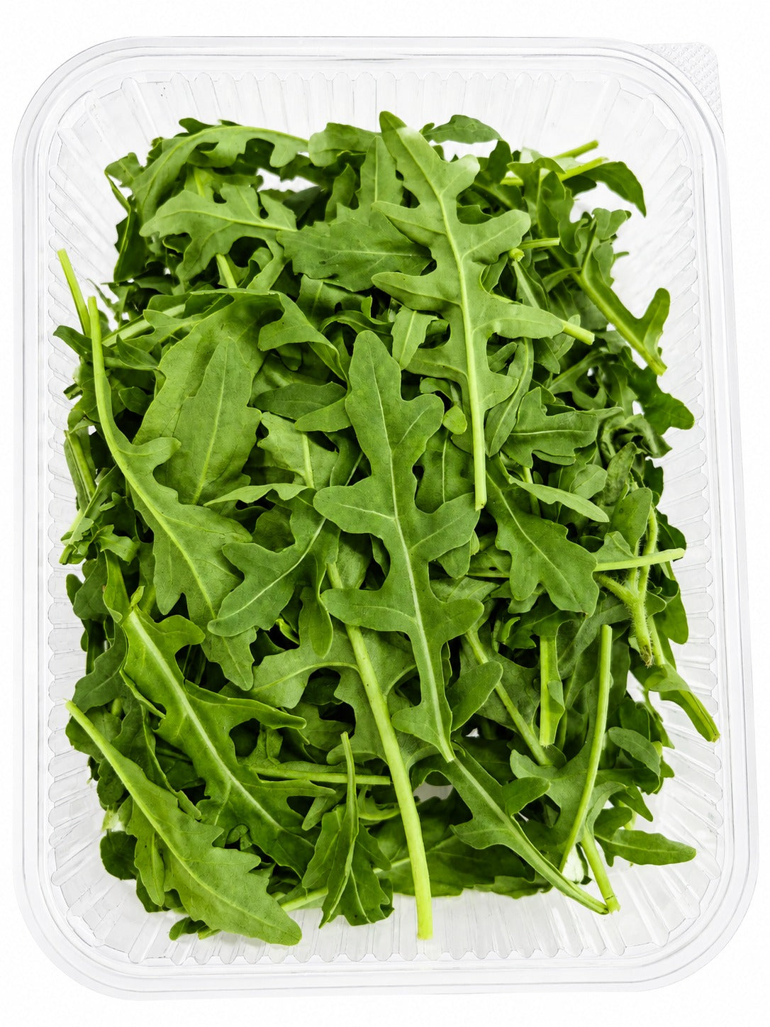 Baby Premium Wild Roquette