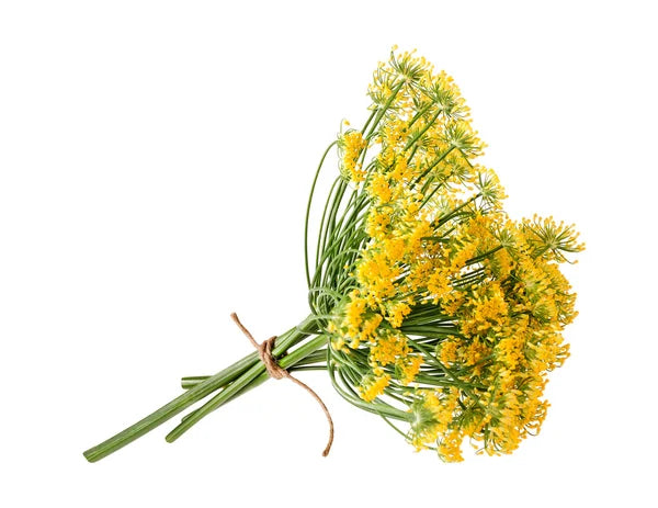 Fennel Flower