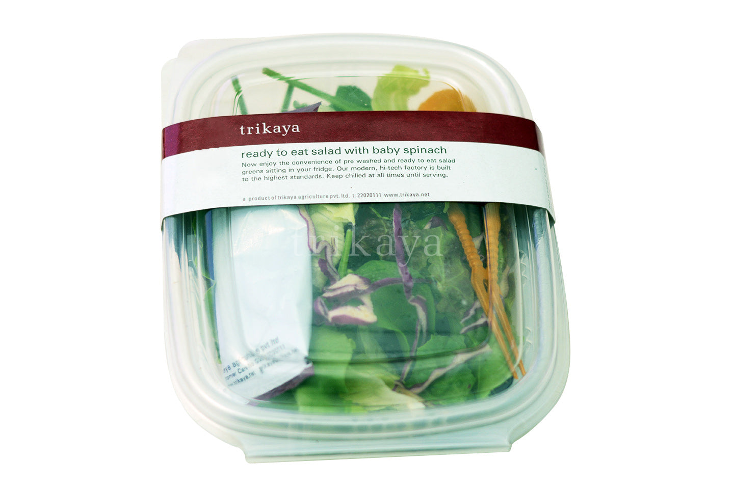 Ready To Eat Salad With Baby Spinach