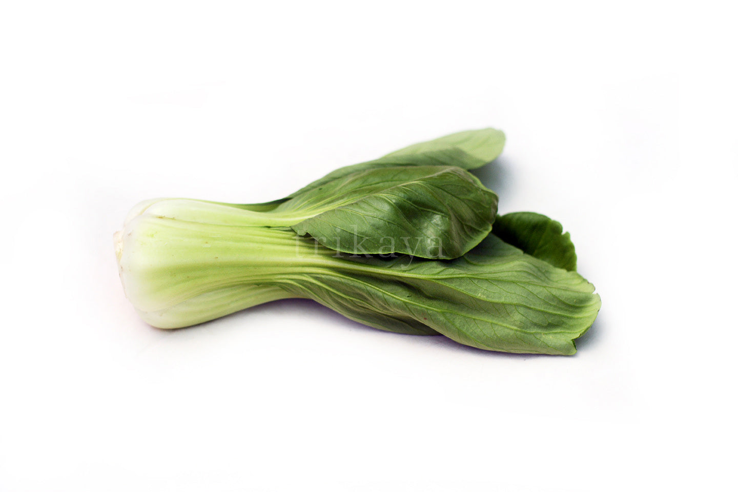 Pakchoi ,Chinese