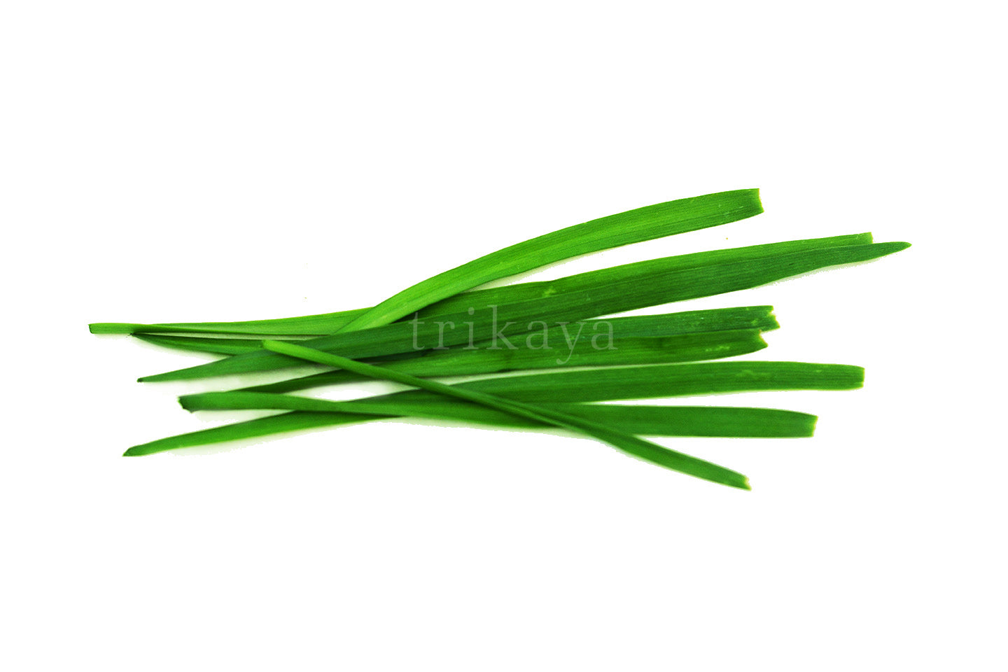 Garlic Chives