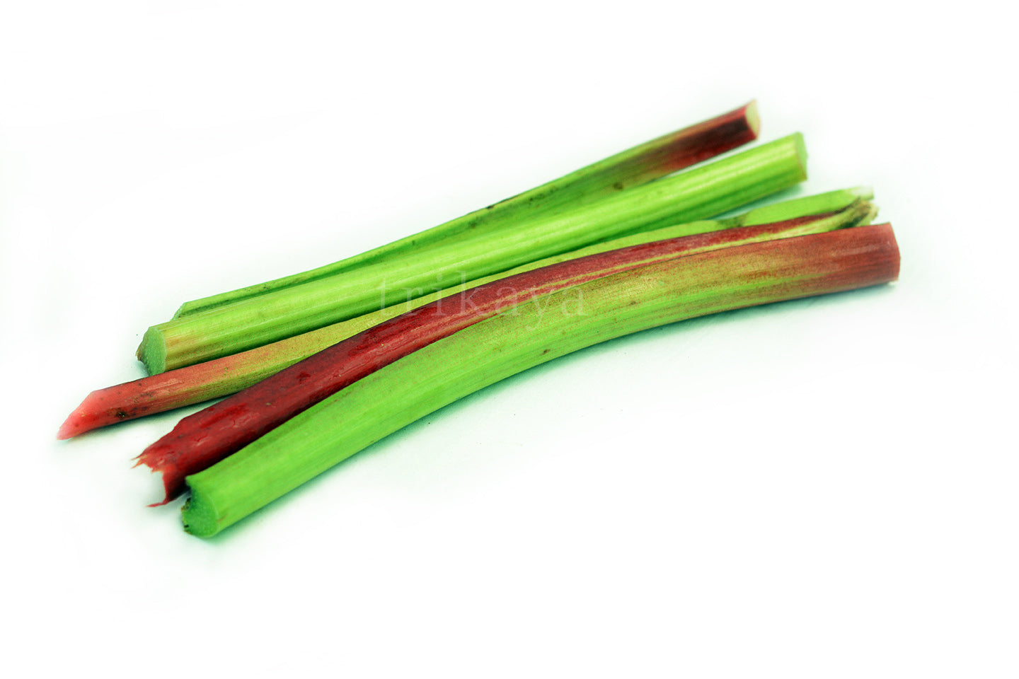 Rhubarb