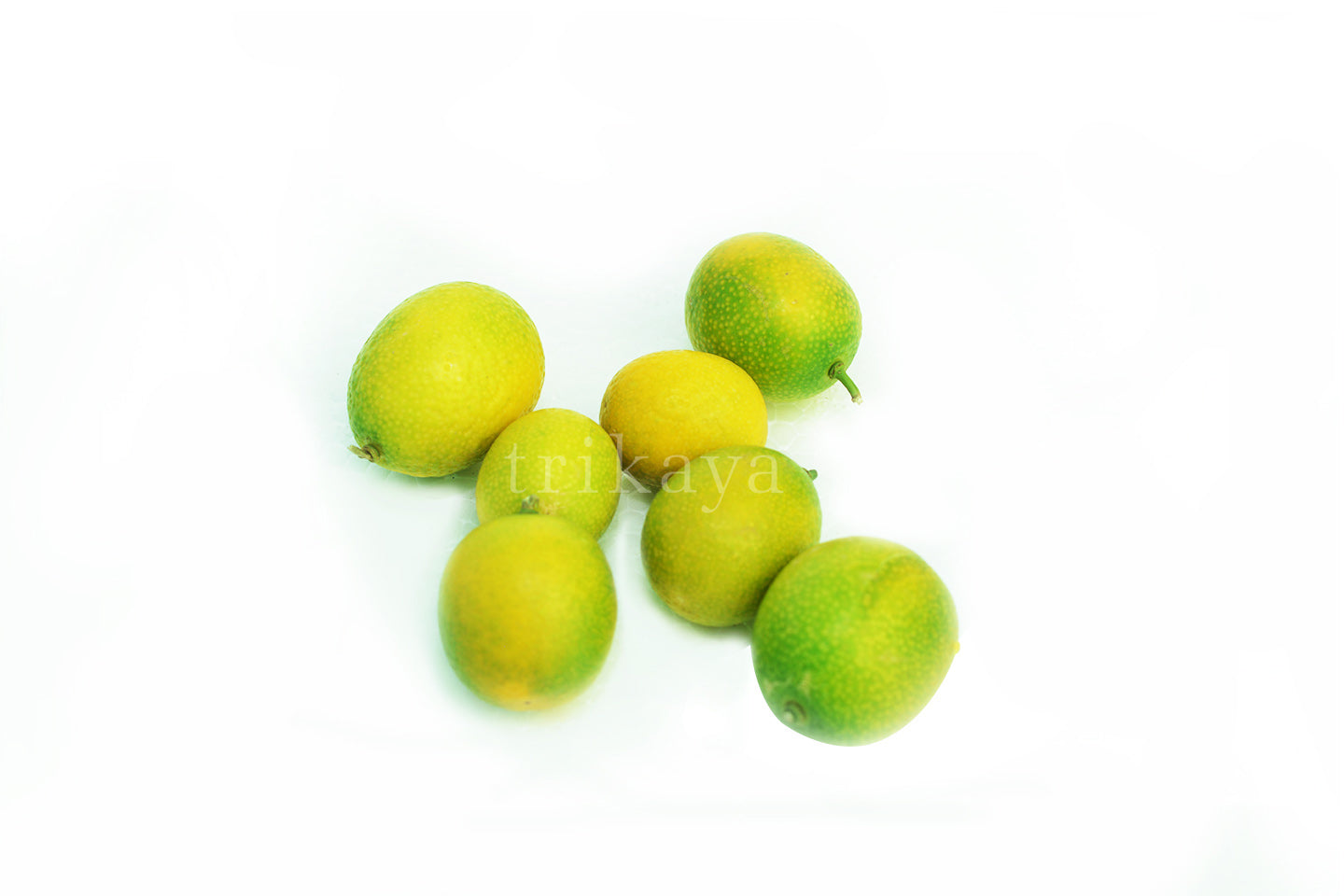 Kumquat