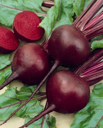 Beetroot, Baby