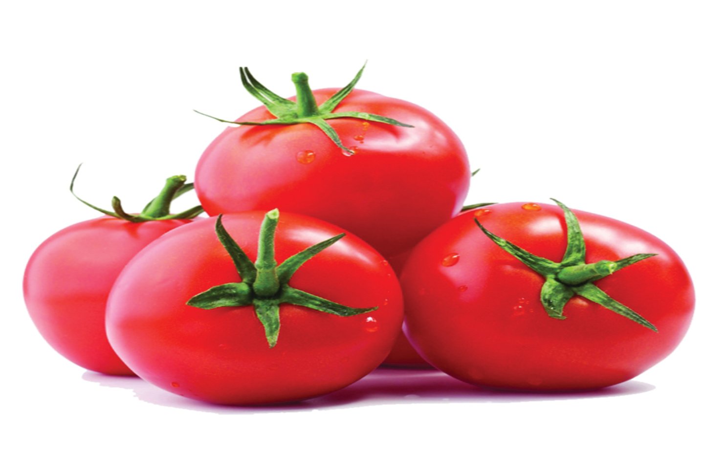 Tomato Boston Red