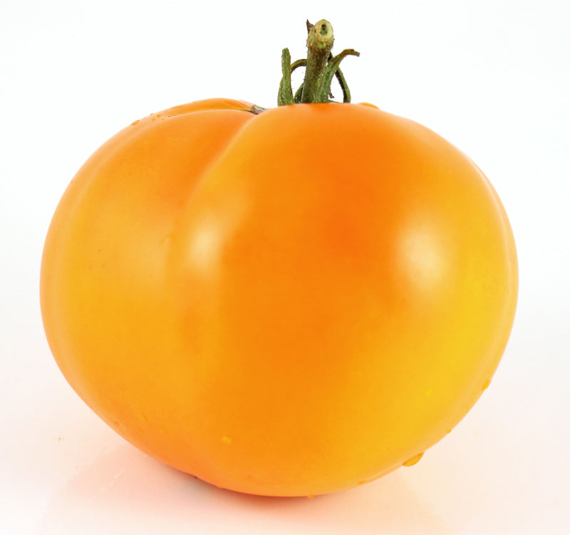 Tomato Boston Gold