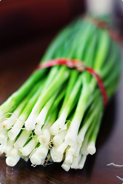 Bunching Onion, Japanese
