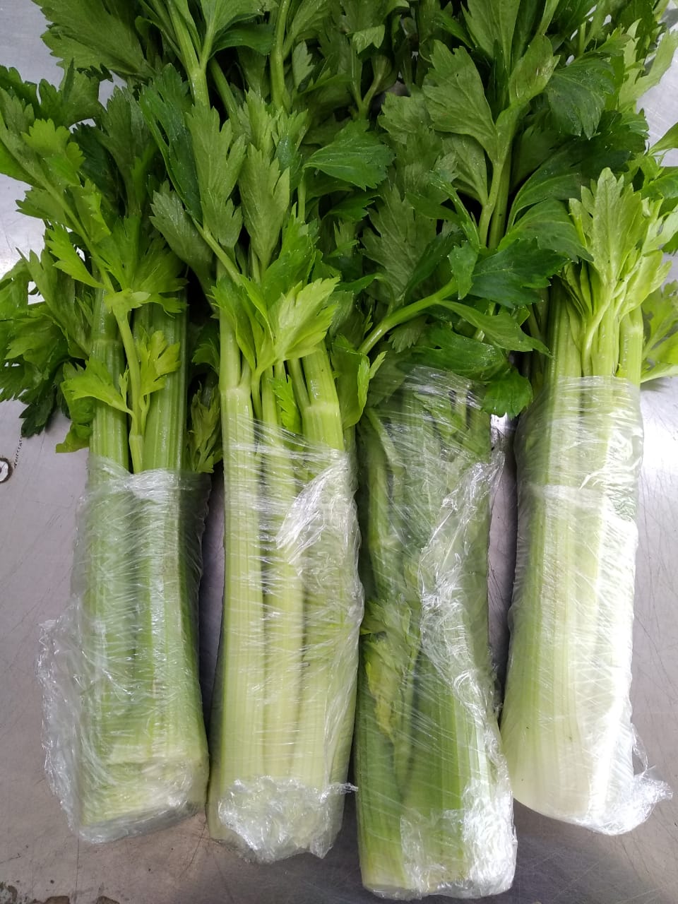 Celery