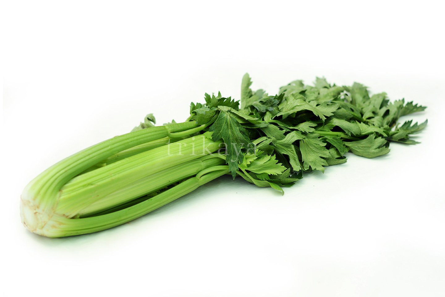 Celery