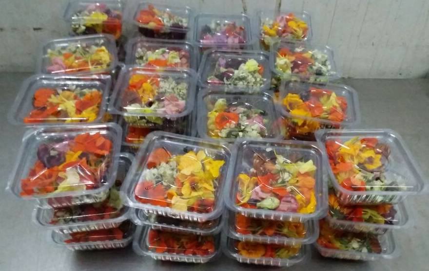 Edible Flowers - Mix(Pkts)