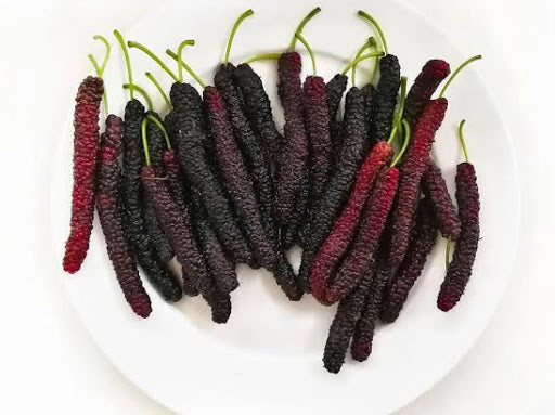 Mulberry, Himalayan