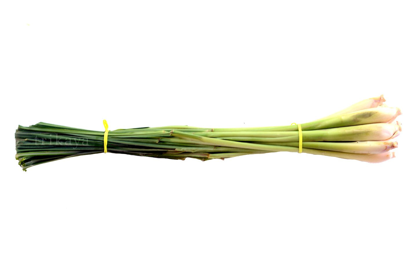 Lemon Grass