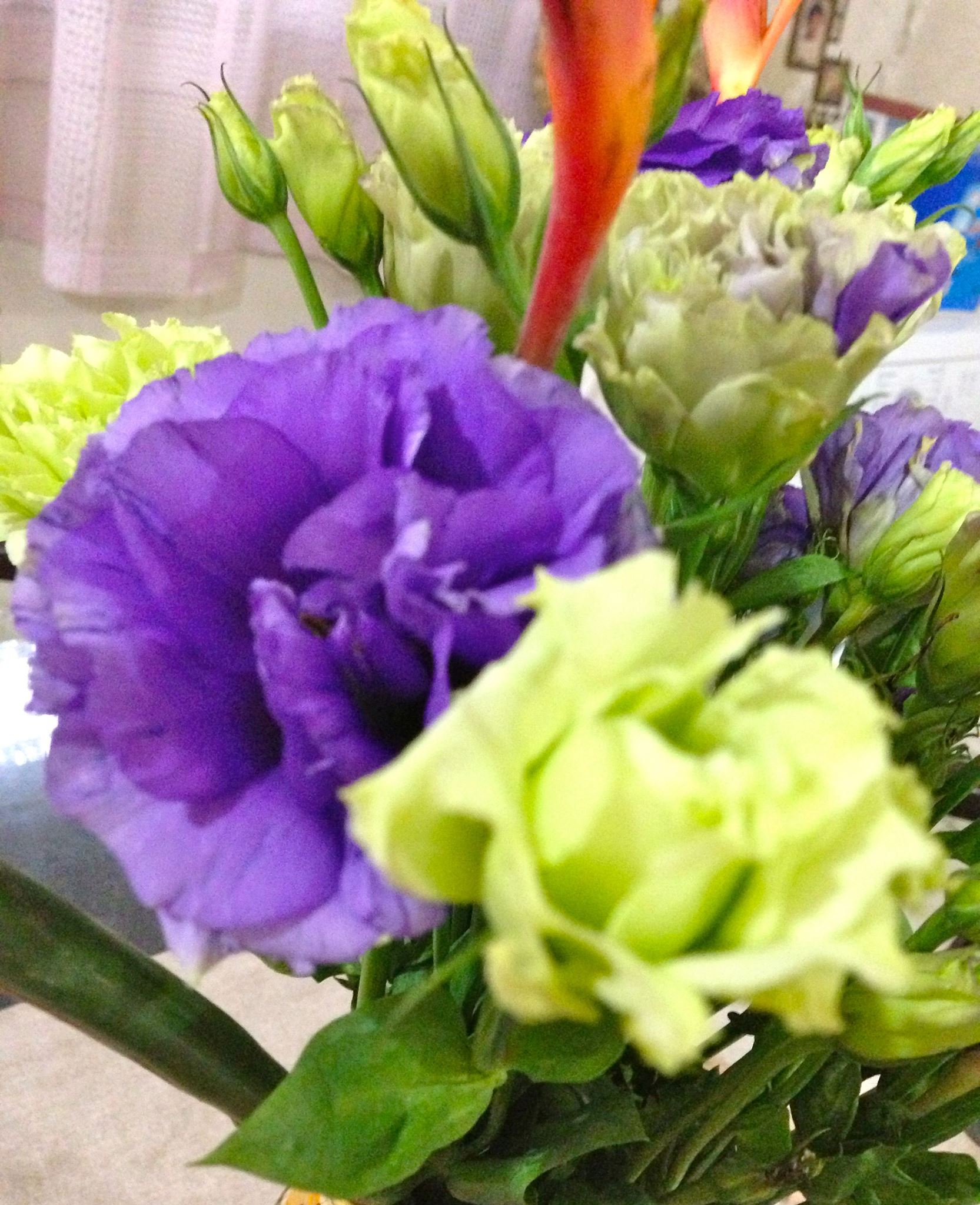 Lisianthus Mix