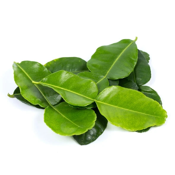 Makroot Leaves/Kaffir Lime Leaves