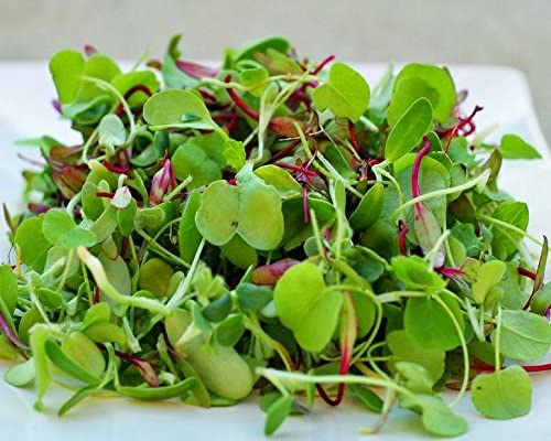 Microgreen Mix