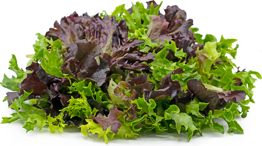 Mix Lettuce - Ready to eat salad