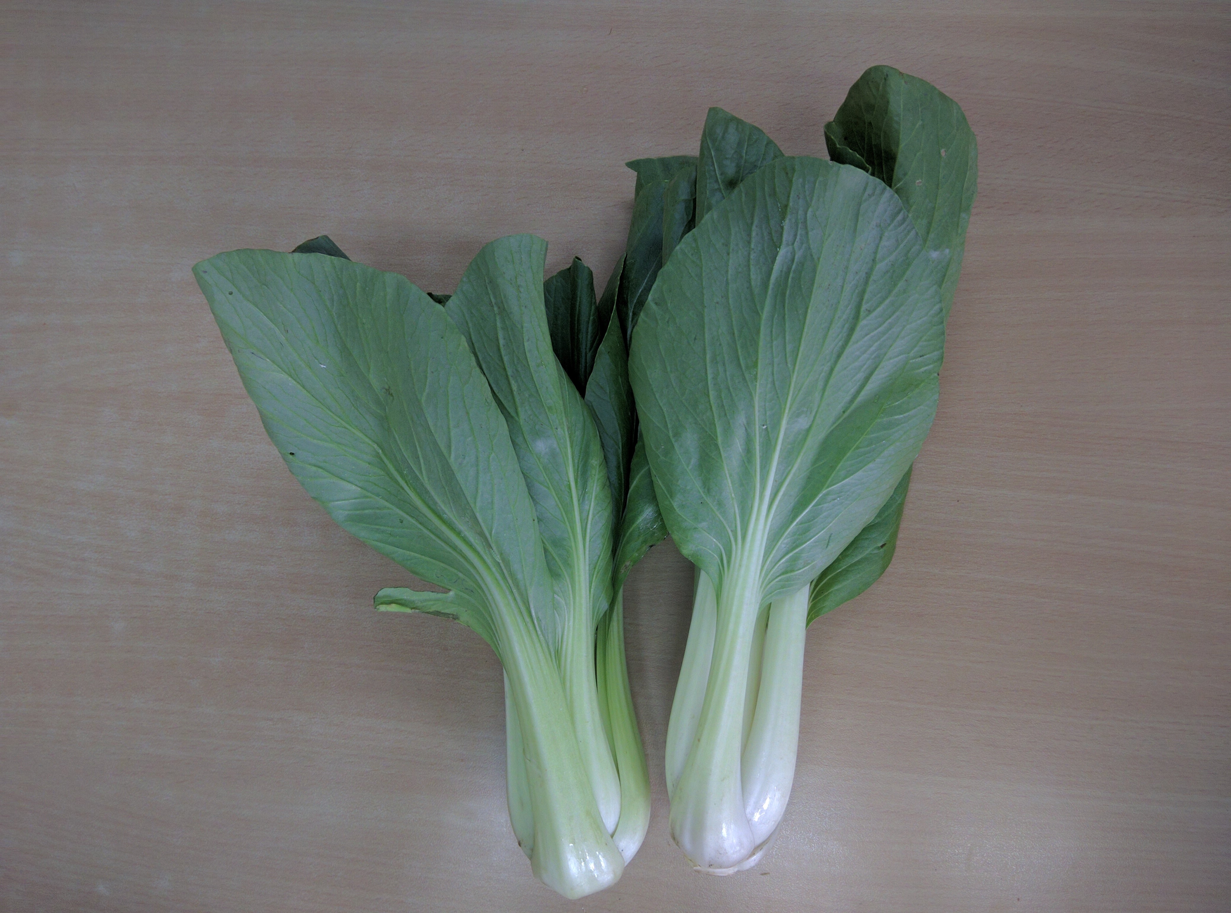 Pakchoi ,Chinese