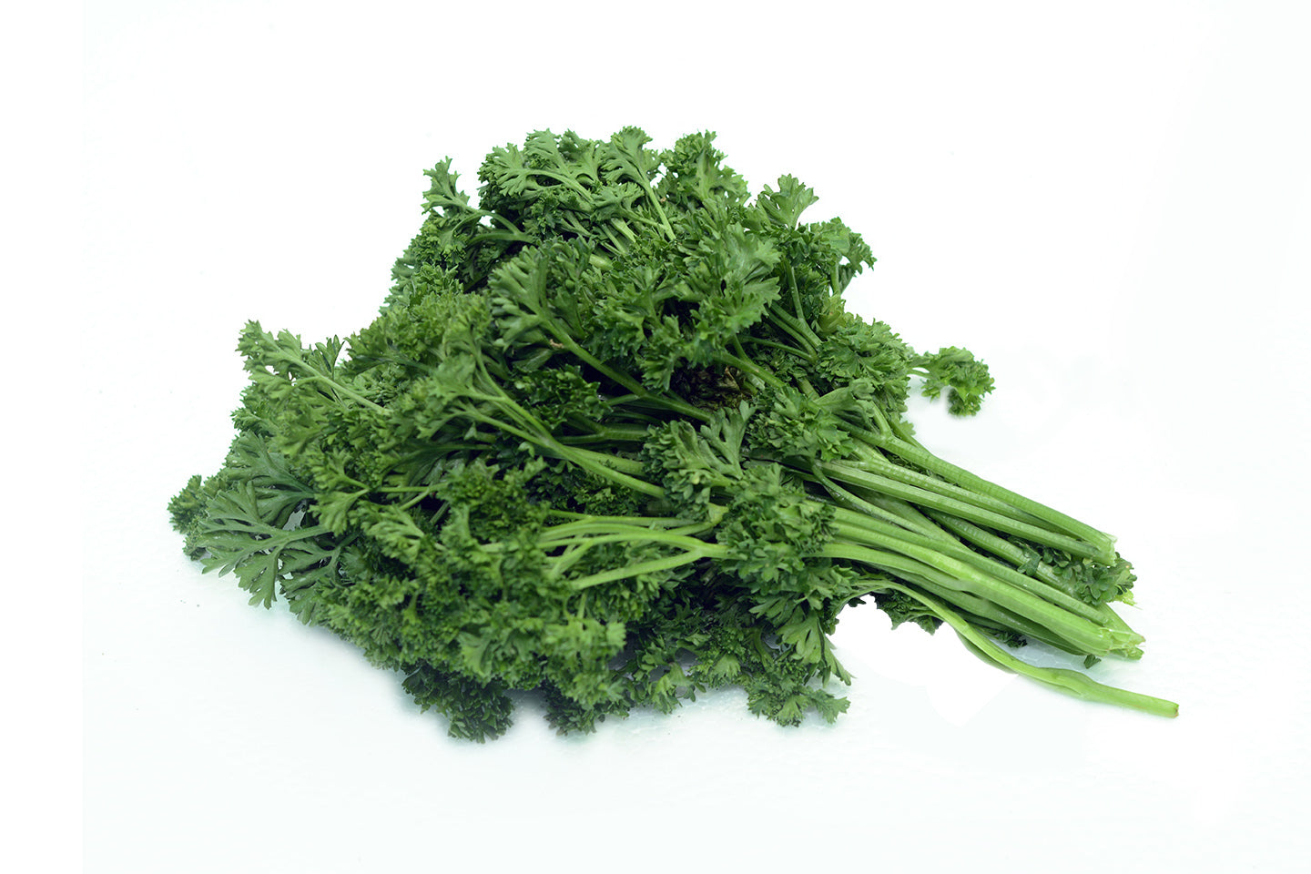Parsley Curled