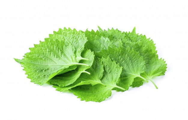Shiso Leaf