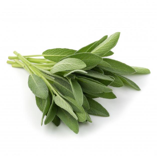 Sage Fresh
